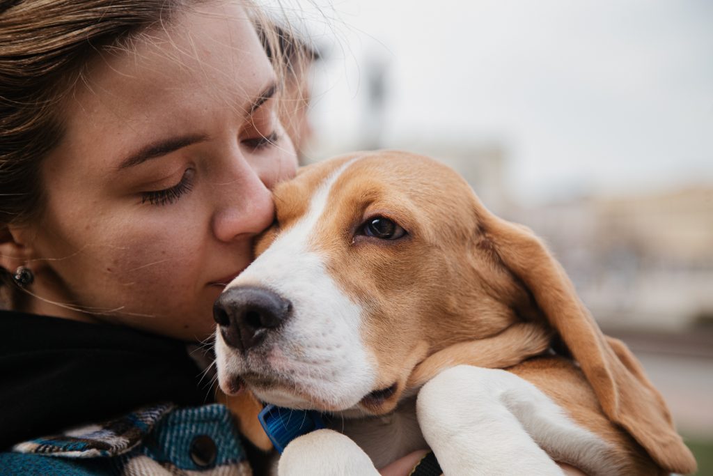 Tu perro, uno más en la familia